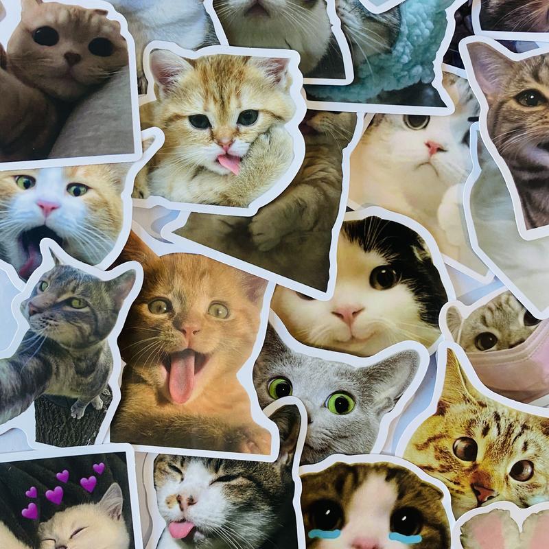 100 Pcs Meme Cat Stickers, Funny kitten stickers for Laptops Phones & Notebooks Adorable Cat Designs Cute Kitten Waterproof Stickers