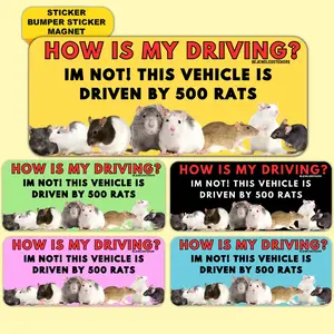 500 Rats | Funny Meme Vinyl Sticker, Bumper Sticker, Magnet and Bumper Magnet