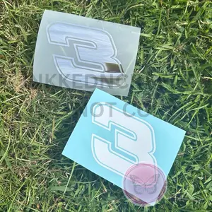 Number 3 Decal, Dale Earnhardt Decal, Truck Decal, Car Decal, Raise Hell Praise Dale Decal