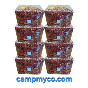 8 pack Sterilized 3lb Red Milo Grain Bag for Mushroom Spawn