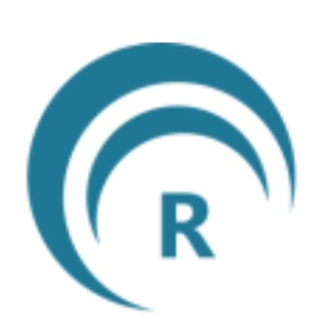 RizBiz Limited Company