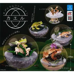 Caprium Collection Tiny Terrarium Frog & Toad Mini Figure