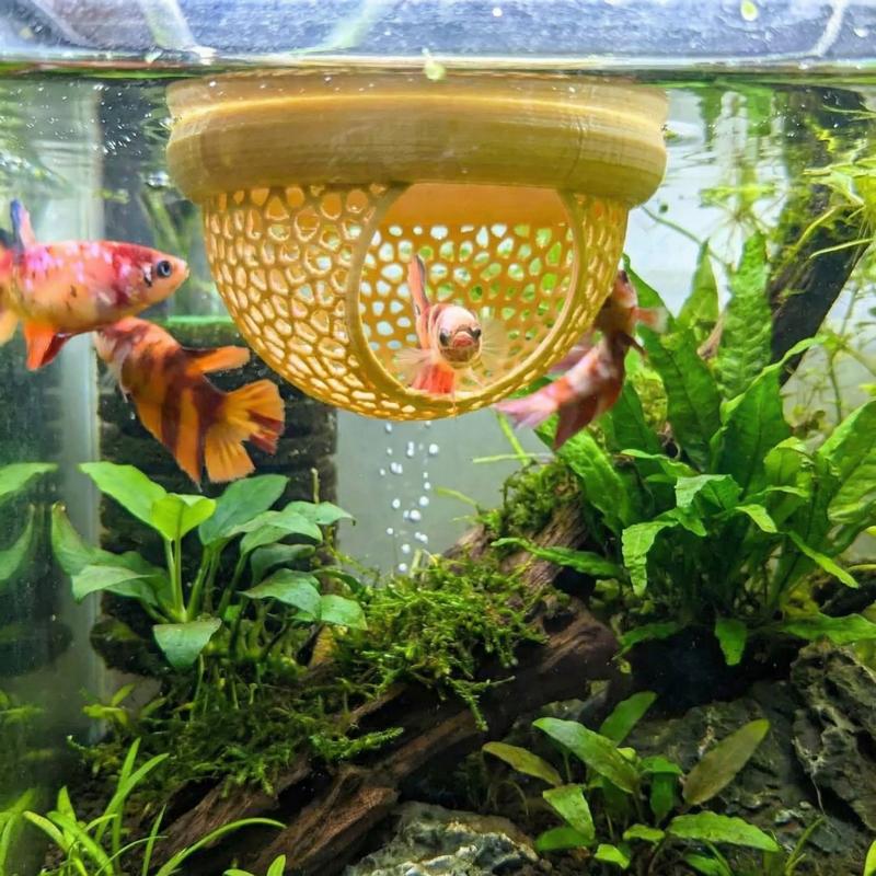 Betta Fish Hammock & Floating Feeder Ring, Safe Eco-Friendly Aquarium Fish Tank Hiding Cave, Perfect for Betta Fish, Enhances Aquatic Environment