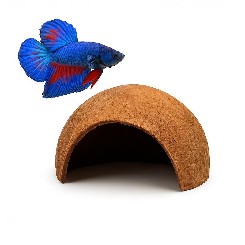 Betta Bundle w/ Coconut Cave, Driftwood, Floating Feeding Ring and Botanicals