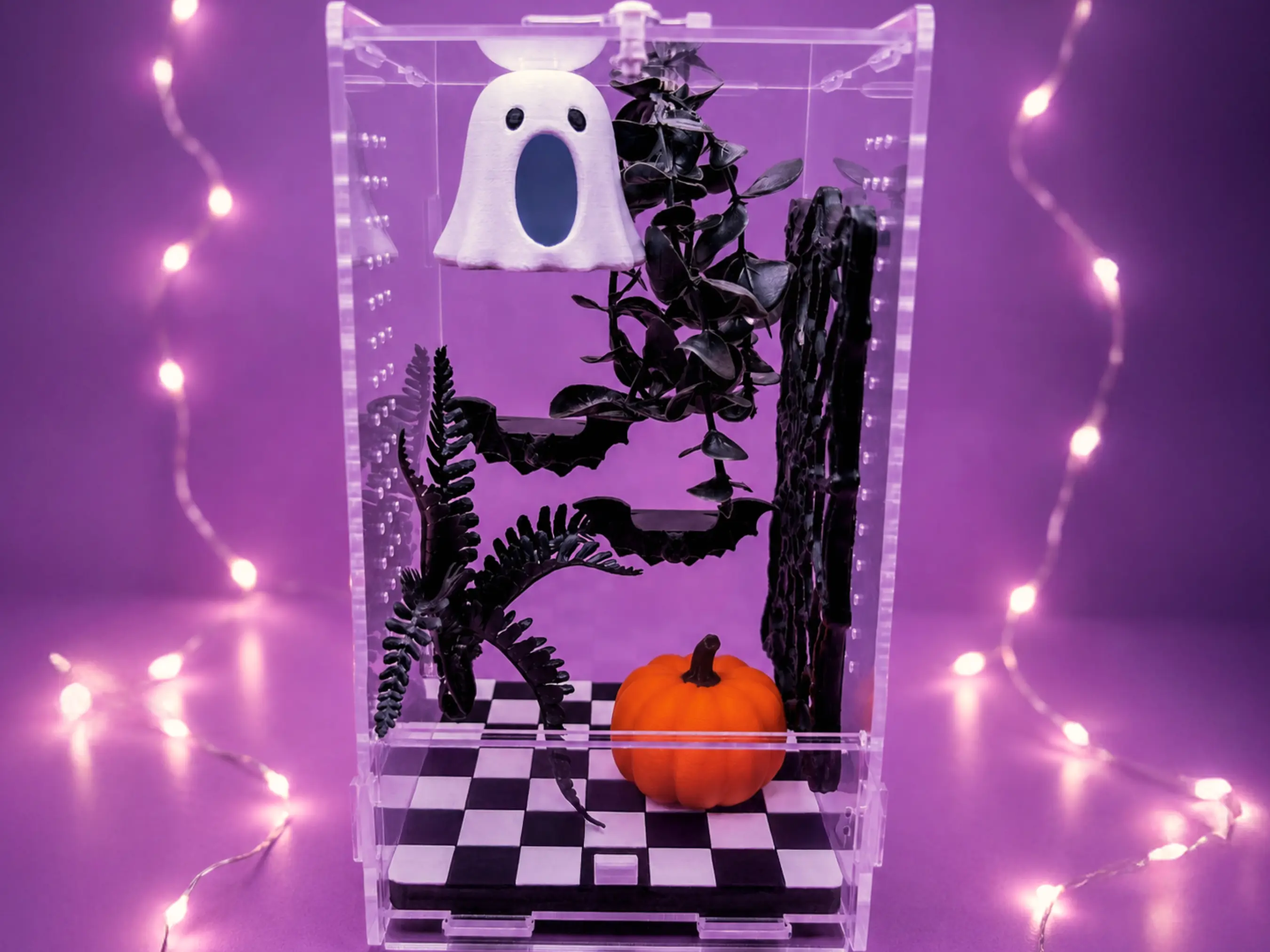 Haunted Jumping Spider Enclosure | Complete Decorated Habitat with Halloween Ghost Hide, Spiderweb Climbing Wall & Magnetic Bat Ledges