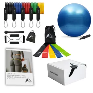 PT IN A BOX Glute Strengthening & Toning Exercise Kit with Resistance Band Set Loop Bands Stability Ball and Program Guide