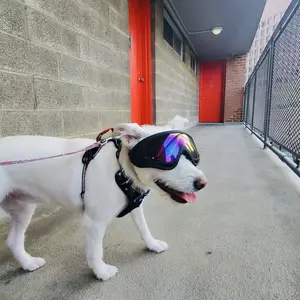 [HipiPet] Dog Goggles for Small & Large Breeds - UV Protection Windproof Sunglasses for Dogs- Pet Safety Sun Glasses