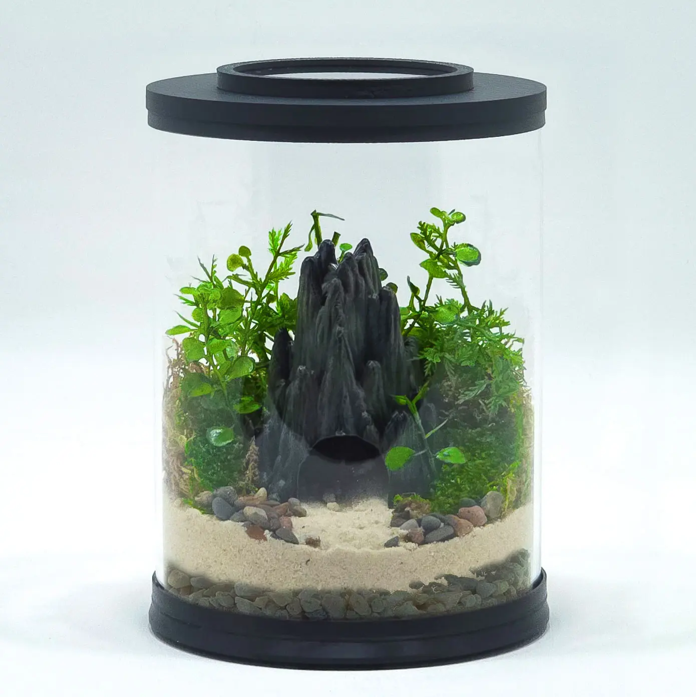 Cave Terrarium Kit | MINI