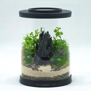 Cave Terrarium Kit | MINI