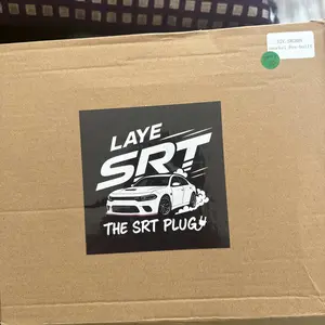 LayeSRT DODGE CHARGER PRE-BUILT DIFFUSED SNORKEL LIGHTS 2015-2023 (MULTICOLOR FLOW) Led grill light