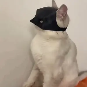 BatCat Black Cat Mask Cosplay, Bat Style Cat Mask, Pet Costume Accessory, Lightweight Design for Medium-Sized Cats, Fun and Adorable Accessory