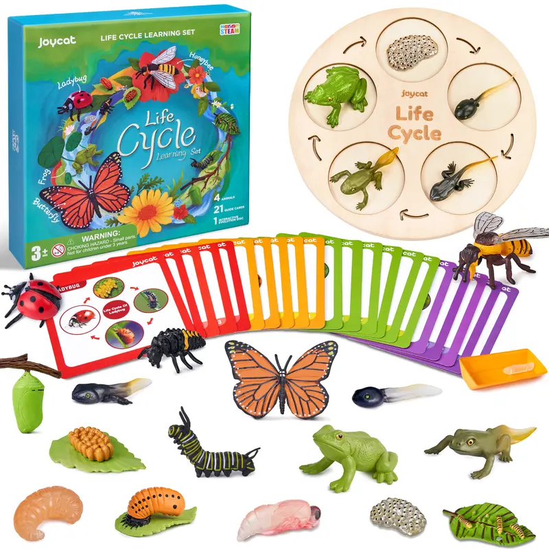 JoyCat Wooden Educational Science Kits - Sturdy 21pcs Insect Cards Kids Toys with Plastic Parts for Children Development, Ages 4-12 Preschool Learning, Birthday Gifts (Insect Life Cycle, Caterpillar-to-Butterfly, Tadpole-to-Frog)