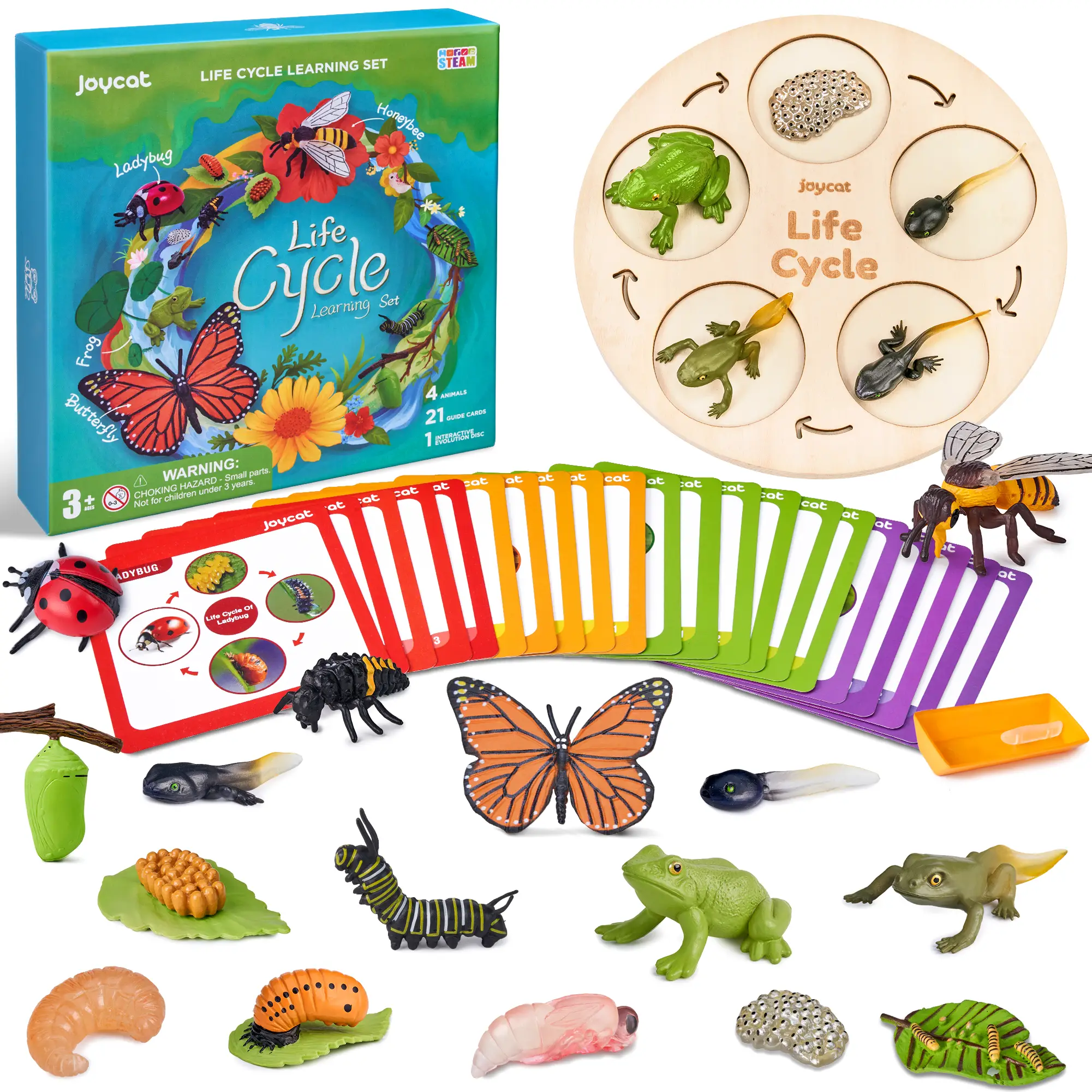 JoyCat Life Cycle Learning Education Toys, Insect Caterpillar to Butterfly kit, Bee, Tadpole to Frog Kit Life Cycle Toy, Preschool Learning Activities