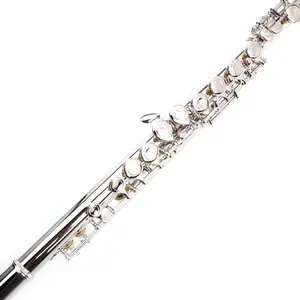 Nickel Plated C Closed Hole Concert Band Flute Silver Woodwind