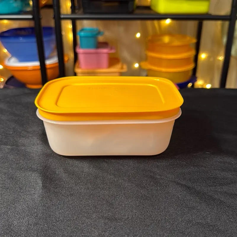 Tupperware Freezer Mate