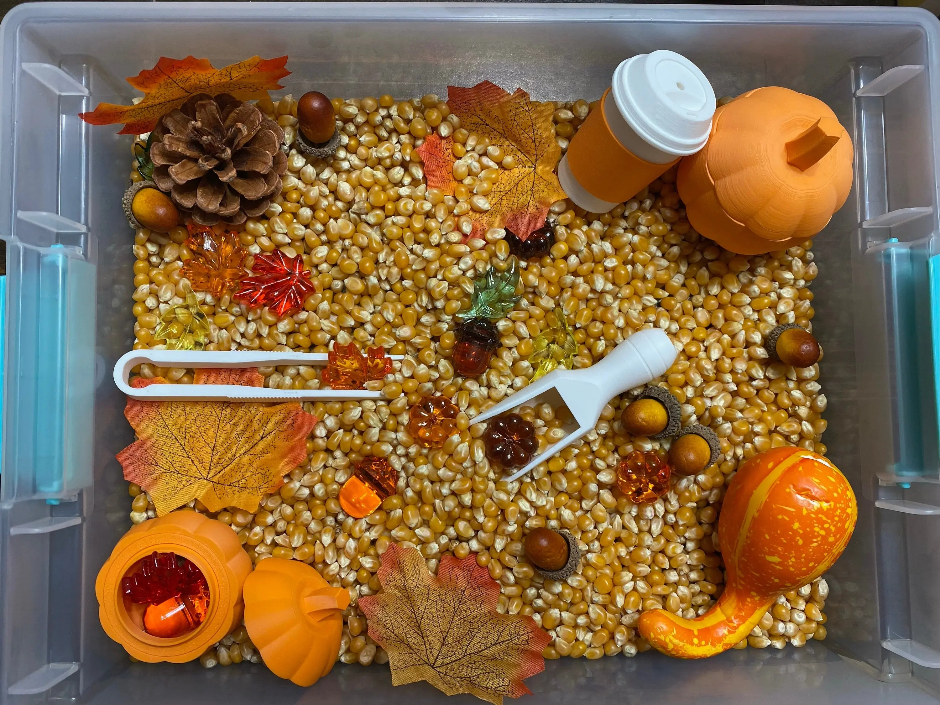 Autumn Sensory Bin, Classic Novelty Stress Relief Toy for Kids