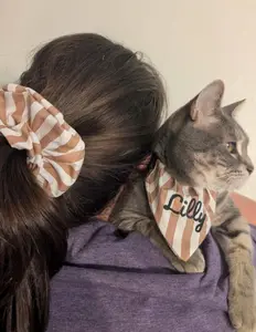 Personalized Embroidered Cat Bandana & Matching Scrunchie Set - Summer Stripe Pattern