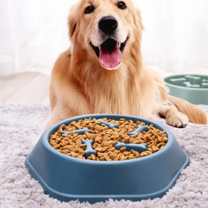 Slow Feeder Pet Bowl Slow Feeder Pet Bowl