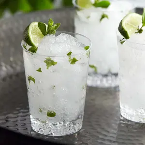 25-Pack Plastic Tumbler Cups 10oz Clear - Disposable Crystal Drinking Glasses for Parties