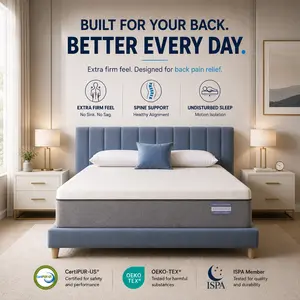 【Back-pain Choice】FANSACE 10 inch Queen Size Foam Mattress for Back Pain Sleeper,High Quality Mattress,Pressure Relief, Extra Plush, Fully Removable Washable Breathable Cover, Night Trial for Luxurious Sleep
