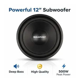 Blaupunkt BPWE12S 12" Subwoofer Car Audio Bass Speaker