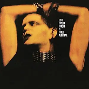 Lou Reed - Rock N Roll Animal NEW Vinyl Record 886919580211