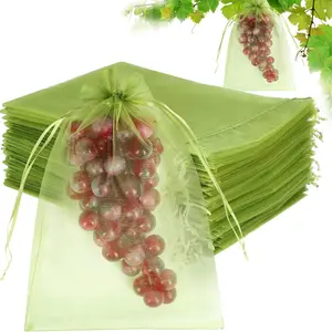 20pcs Fruit Insect-Resistant Mesh Bags, Protective Covers for Fruits, Durable and Reusable, Ideal for Home Use, Prevents Pest Damage