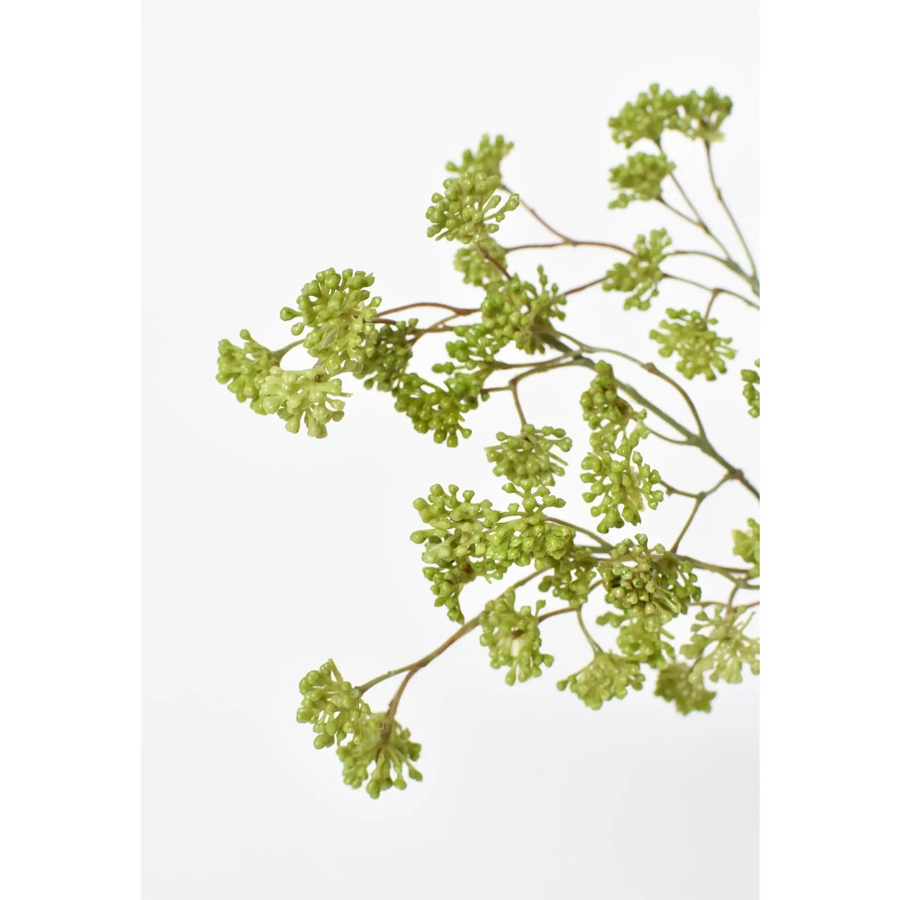 16" Faux Soft Green Sedum Berry Stem