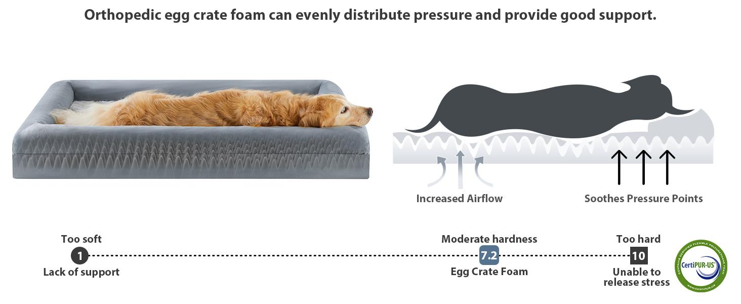 Large Orthopedic Dog Bed - Snap-On Modern Plain Design, Egg Sponge Egg-Crate Pressure Relief, Washable Couch with Removable Waterproof Velvet Cover, Skin-Friendly Bolster-Sides for Joint Relief & Comfortable Private Space, Puppy Bed, 45 X 35 X 7 Inches