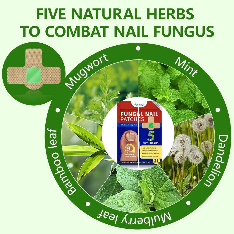 Lansiyi Fungal Nail Patches, 21pcs/box Nail Health CarePatches, Nail Fungus Care Patches with 5 Herbs for Solving Fungal Nails and Other Nail Problems, NailSupplies, Daily Care Nails Kit Set, Nail Tech Supplies,Self Care Tools Matte Japanese Lansiyi Fungal Nail Patches, 21pcs/box Nail Health CarePatches, Nail Fungus Care Patches with 5 Herbs for Solving Fungal Nails and Other Nail Problems, NailSupplies, Daily Care Nails Kit Set, Nail Tech Supplies,Self Care Tools Matte Japanese
