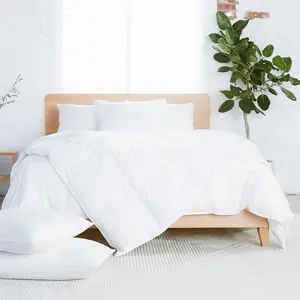 Down Duvet Insert