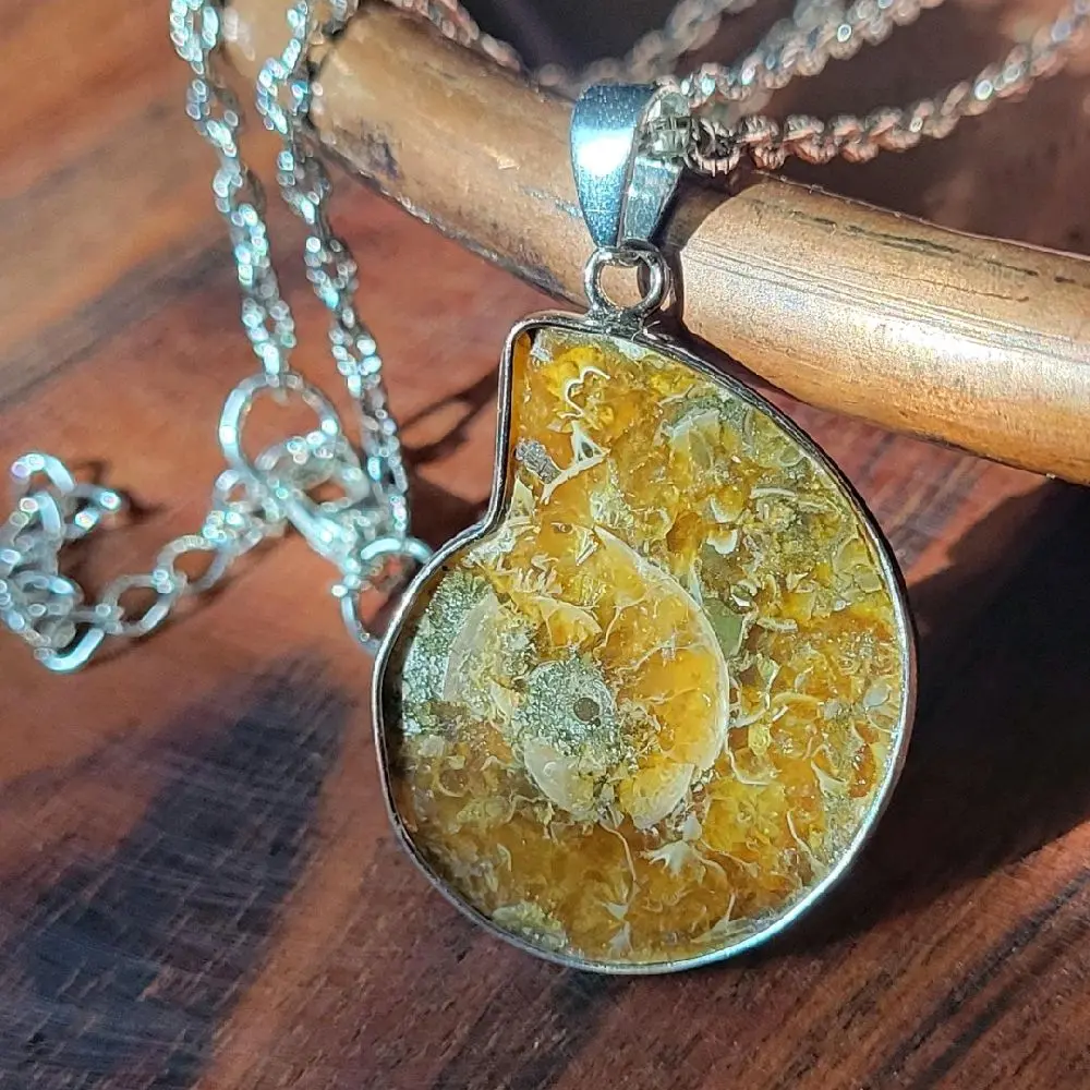 Ammonite fossil necklace