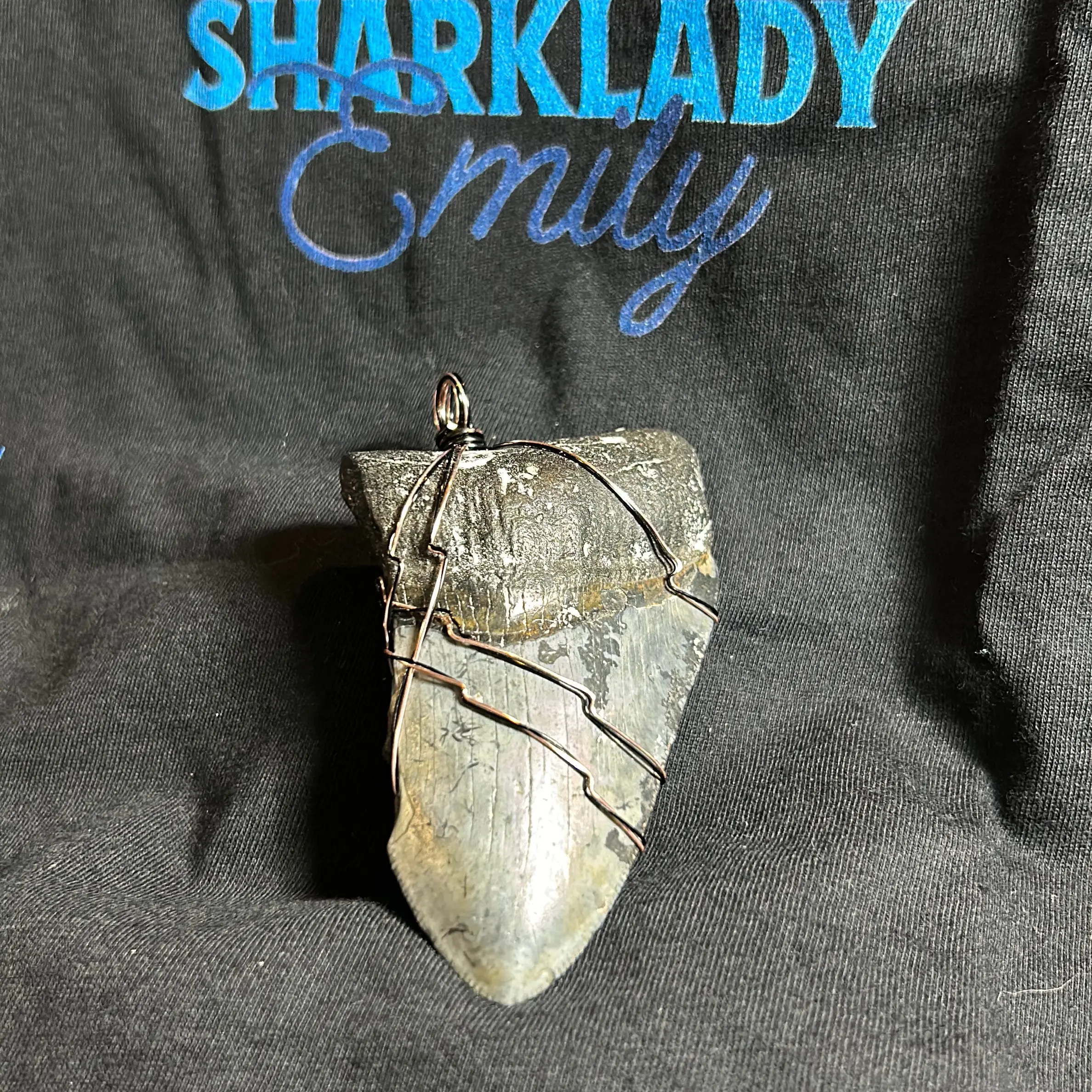 Megalodon pendant