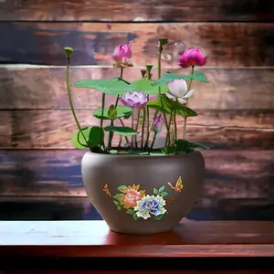 20pcs Mixed Pink Red & Green Color Bowl Lotus Seeds for Planting Beautiful Water Plants for Indoor Bonsai Outdoor Ponds and Gardens Water Lily Seeds with Decorative Floral Design All Seasons Versatile Use