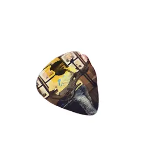 Custom Guitar Pick for Music Lovers - Perfect for Any Occasion