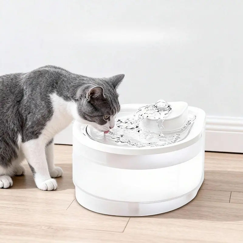 best cat water fountain amazon - TikTok Shop