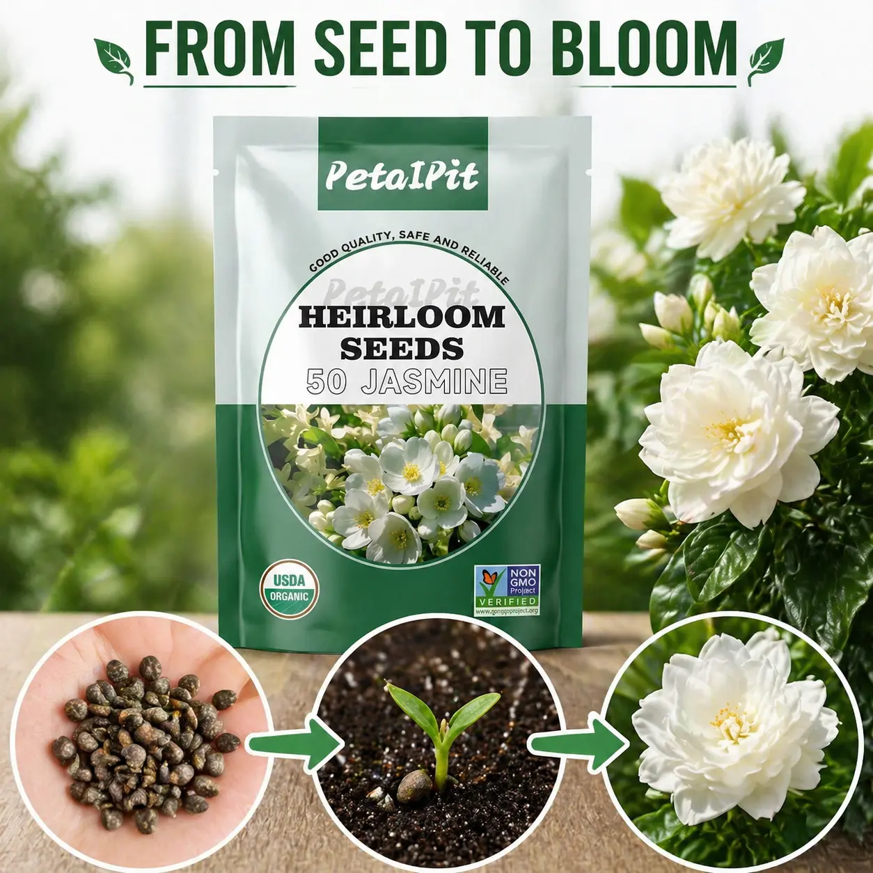Jasmine出品 For 50 Non-GMO Climbing Silver Jasmine Seeds - Aromatic Evergreen