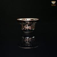 Golden Rose Magnolia