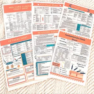 Nursing Cheat Sheets | Nursing School | Nurse Gift | Printed+Laminated | Clinical Cheat Sheet | ICU | L&D | MedSurg | ER | Newborn | Bundle