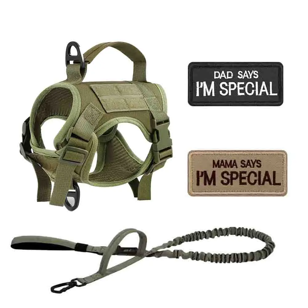 Green Harness and Leash set