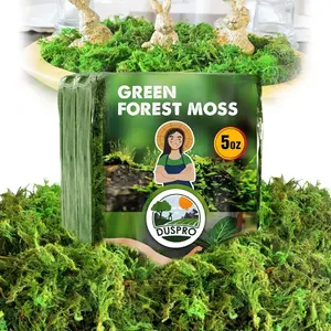 DUSPRO Green Forest Moss for Crafts, Real Dried Decorative Moss for Indoor Planter Soil Cover, Table Centerpieces, Wedding, Easter & Christmas Decor, DIY Projects, 5 oz