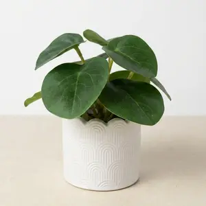 Mini Artificial Peperomia Potted Plant – Faux Greenery in White Scalloped Ceramic Planter – Modern Desktop & Shelf Decor