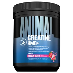 Animal Creatine HMB Powder – 5g Creatine + 3g myHMB with Electrolytes – Daily Muscle Recovery & Energy Support – 30 Servings