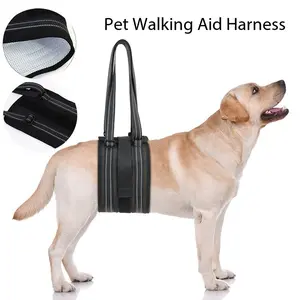 New Pet Assist Band for Dogs, Reusable Adjustable Breathable Comfort Mesh, Rear Leg Disability Aid, Elderly Dog Stairs Support, Upgraded Walking Assistant Belt