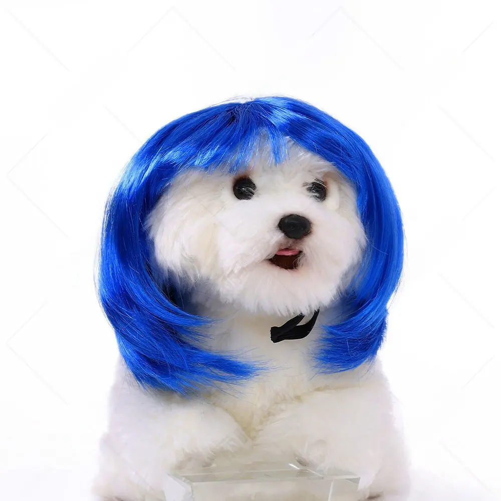 Dog Wig Bangs Bob Blue