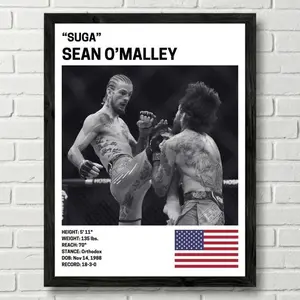 Sean O' Malley Poster, Fighter Wall Art Decor, UFC, Mixed Martial Arts Print, mma Canva for Home Gym, Sports Fan Wall Decor, Man Cave