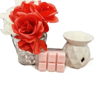 Highly Scented Eco-Friendly Soy Wax Melts - Natural and Fragrant Wax Melts for Your Home amazing candles mothers day sevenday candle