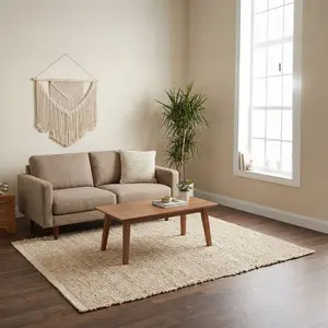 Braided Jute Area Rug