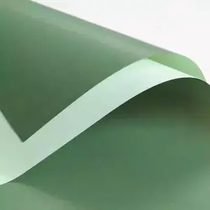 Double Color Flower Wrapping Paper  Florist Bouquet Packaging  20 Sheets 23.6x23.6 Inch (Green)