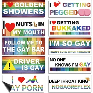 10Pcs LGBT Rainbow Magnetic Bumper Decals Funny Prank Stickers, Waterproof Car Accessories for Truck Vehicle Luggage Window, Pride Gay Gifts Perfect Present For LGBT